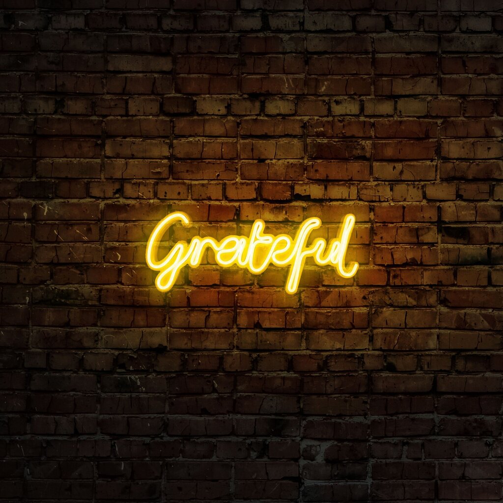 Sieninis šviestuvas Grateful kaina ir informacija | Sieniniai šviestuvai | pigu.lt