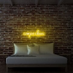 Настенный светильник Carpe Diem цена и информация | Настенные светильники | pigu.lt