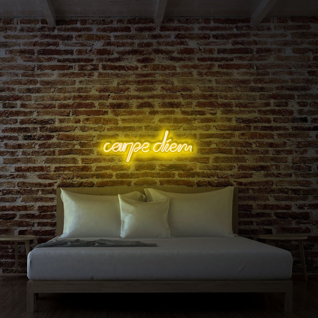 Sieninis šviestuvas Carpe Diem kaina ir informacija | Sieniniai šviestuvai | pigu.lt