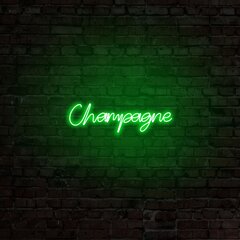 Настенный светильник Champagne цена и информация | Настенные светильники | pigu.lt