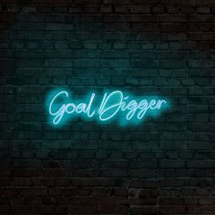 Sieninis šviestuvas Goal Digger kaina ir informacija | Sieniniai šviestuvai | pigu.lt