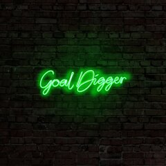 Настенный светильник Goal Digger цена и информация | Настенные светильники | pigu.lt