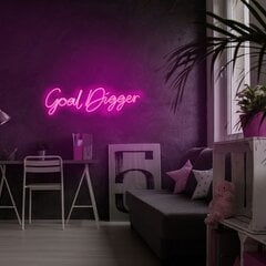 Настенный светильник Goal Digger цена и информация | Настенные светильники | pigu.lt
