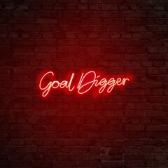 Настенный светильник Goal Digger цена и информация | Настенные светильники | pigu.lt