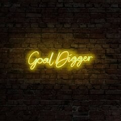 Настенный светильник Goal Digger цена и информация | Настенные светильники | pigu.lt