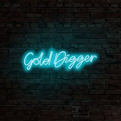Настенный светильник Gold Digger цена и информация | Настенные светильники | pigu.lt
