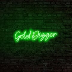 Sieninis šviestuvas Gold Digger kaina ir informacija | Sieniniai šviestuvai | pigu.lt