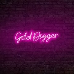 Sieninis šviestuvas Gold Digger kaina ir informacija | Sieniniai šviestuvai | pigu.lt