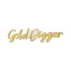 Настенный светильник Gold Digger цена и информация | Настенные светильники | pigu.lt