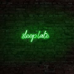 Настенный светильник Sleep Late цена и информация | Настенные светильники | pigu.lt