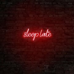 Настенный светильник Sleep Late цена и информация | Настенные светильники | pigu.lt