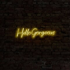 Настенный светильник Hello Gorgeous цена и информация | Настенные светильники | pigu.lt