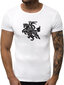 Marškinėliai vyrams Vytis JS/712005-43442-XXL, balti цена и информация | Vyriški marškinėliai | pigu.lt