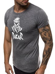 Marškinėliai vyrams Dakar JS/712005-43419-XXL, pilki цена и информация | Мужские футболки | pigu.lt