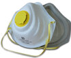 Respiratoriai FFP2 DSM safety 10 vnt. kaina ir informacija | Galvos apsauga | pigu.lt
