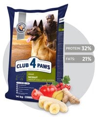 CLUB 4 PAWS Premium pilnavertis sausas maistas suaugusiems darbiniams, vidutinių ir didelių veislių šunims „SCOUT“ , 14kg kaina ir informacija | Sausas maistas šunims | pigu.lt