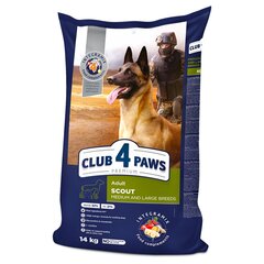 CLUB 4 PAWS Premium pilnavertis sausas maistas suaugusiems darbiniams, vidutinių ir didelių veislių šunims „SCOUT“ , 14kg kaina ir informacija | Sausas maistas šunims | pigu.lt