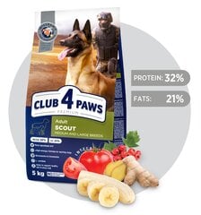 CLUB 4 PAWS Premium pilnavertis sausas maistas suaugusiems darbiniams, vidutinių ir didelių veislių šunims „SCOUT“, 5kg kaina ir informacija | Sausas maistas šunims | pigu.lt