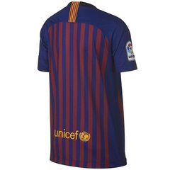 Спортивная футболка для мальчиков Nike FCB NK BRT stad JSY SS HM junior 89458 456, синяя цена и информация | Рубашки для мальчиков | pigu.lt