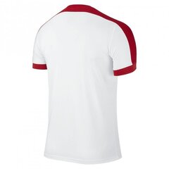 Sportiniai marškinėliai vyrams Nike striker IV M 725892101, balti kaina ir informacija | Sportinė apranga vyrams | pigu.lt