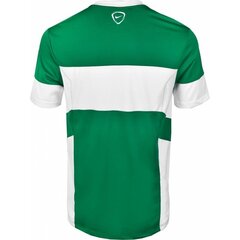Спортивная футболка для мужчин Nike academy 14 M 588468-302, зеленая цена и информация | Мужская спортивная одежда | pigu.lt