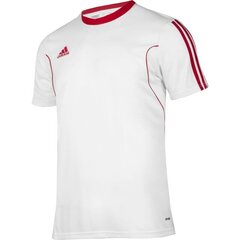 Спортивная футболка для мальчиков Adidas squadra 13 junior Z20625, белая цена и информация | Рубашка для мальчиков | pigu.lt