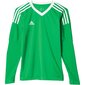 Sportiniai marškinėliai berniukams Adidas revigo 17 junior AZ5389, žali цена и информация | Marškinėliai berniukams | pigu.lt