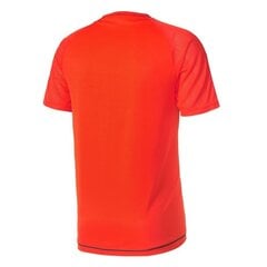 Спортивная футболка мужская Adidas tiro 17 M BQ2809, оранжевая цена и информация | Мужская спортивная одежда | pigu.lt