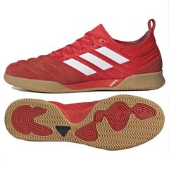 Futbolo bateliai Adidas Copa 20.1 IN G28623 kaina ir informacija | Futbolo bateliai | pigu.lt