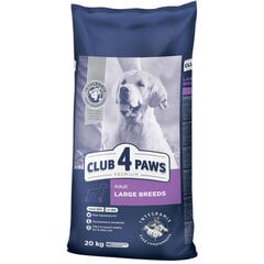 CLUB 4 PAWS Premium полнорационный сухой корм для взрослых собак крупных пород, 20 кг цена и информация |  Сухой корм для собак | pigu.lt