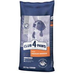 CLUB 4 PAWS Premium полнорационный сухой корм для взрослых собак средних пород, 20 кг цена и информация | Сухой корм для собак | pigu.lt