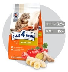 CLUB 4 PAWS Premium pilnavertis sausas maistas suaugusioms katėms su triušiena, 2kg kaina ir informacija | Sausas maistas katėms | pigu.lt