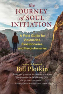 The Journey of Soul Initiation: A Field Guide for Visionaries, Revolutionaries, and Evolutionaries kaina ir informacija | Saviugdos knygos | pigu.lt
