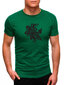 Marškinėliai vyrams Vytis JS/712005-43530, žali kaina ir informacija | Vyriški marškinėliai | pigu.lt