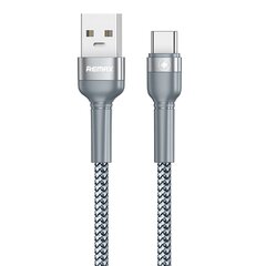 REMAX Jany Data USB - USB Typ C Cable Power Delivery 100 W 5 A 1 m silver (RC-170) цена и информация | Кабели для телефонов | pigu.lt