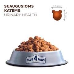 Club 4 Paws Premium suaugusioms katėms Urinary, 900g kaina ir informacija | Sausas maistas katėms | pigu.lt