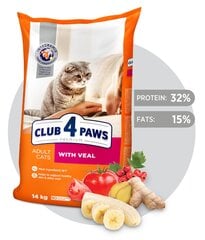 CLUB 4 PAWS PREMIUM полнорационный сухой корм для взрослых кошек с телятиной, 14 кг цена и информация | Сухой корм для кошек | pigu.lt