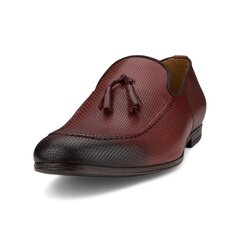 Mokasinai vyrams Nicolo Ferretti 4553834, rudi kaina ir informacija | Vyriški batai | pigu.lt