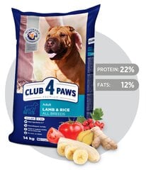 CLUB 4 PAWS Premium полнорационный сухой корм для взрослых собак всех пород с ягненком и рисом, 14 кг цена и информация | Сухой корм для собак | pigu.lt