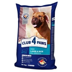 CLUB 4 PAWS Premium pilnavertis sausas ėdalas suaugusiems, visų veislių šunims su ėriena ir ryžiais, 14kg kaina ir informacija | Sausas maistas šunims | pigu.lt