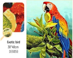 Картина стразами в технике алмазной вышивки "Птичка" Collection D'Art 38x48cm цена и информация | Алмазная мозаика | pigu.lt