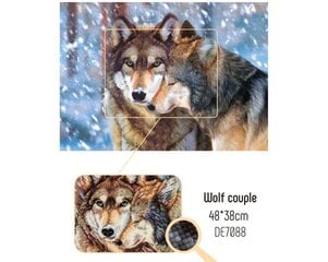 Картина стразами в технике алмазной вышивки "Волк и волчица" Collection D'Art 48x38cm цена и информация | Алмазная мозаика | pigu.lt