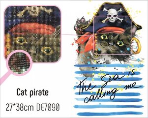 Картина стразами в технике алмазной вышивки "Кот-пират" Collection D'Art 27x38cm цена и информация | Алмазная мозаика | pigu.lt