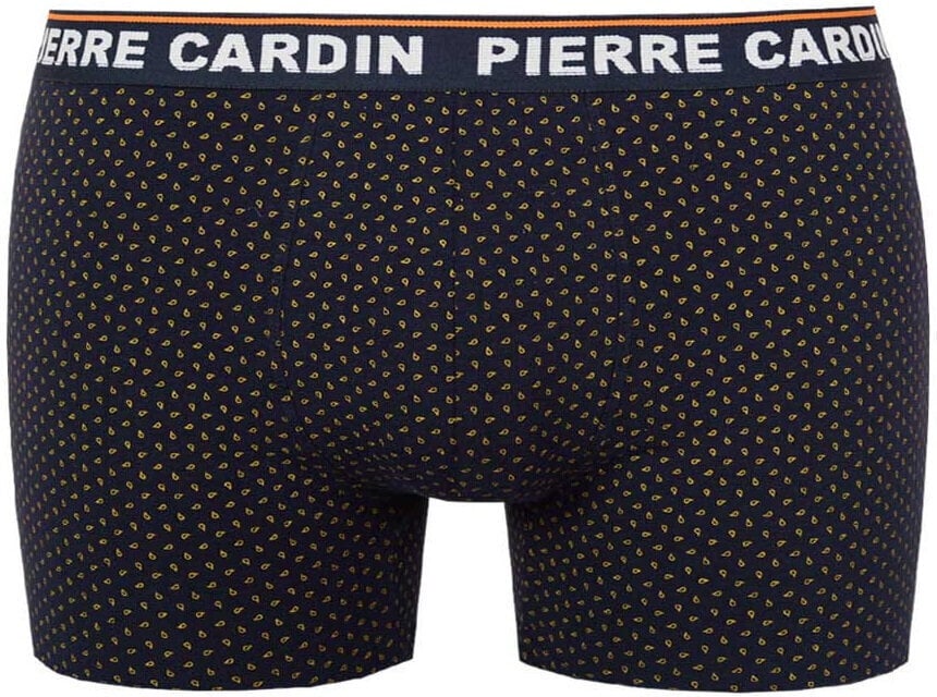 Trumpikės vyrams Pierre Cardin Boxer Uomo Blue PCM C147 kaina ir informacija | Trumpikės | pigu.lt