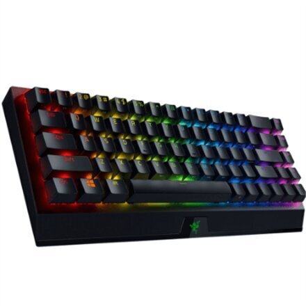 Žaidimų klaviatūra, Razer BlackWidow V3 Mini HyperSpeed, Green Switch, Juoda, RU kaina ir informacija | Klaviatūros | pigu.lt