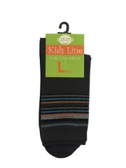 Подростковые носки (Светло-серого цвета) цена и информация | Носки, колготки для мальчиков | pigu.lt