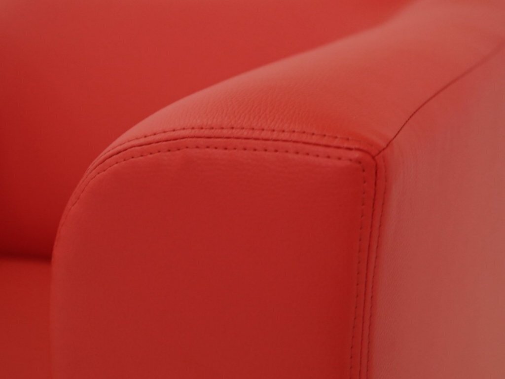 Sofa Ropez Chicago 2, raudona kaina ir informacija | Sofos | pigu.lt