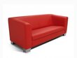 Sofa Ropez Chicago 2, raudona kaina ir informacija | Sofos | pigu.lt