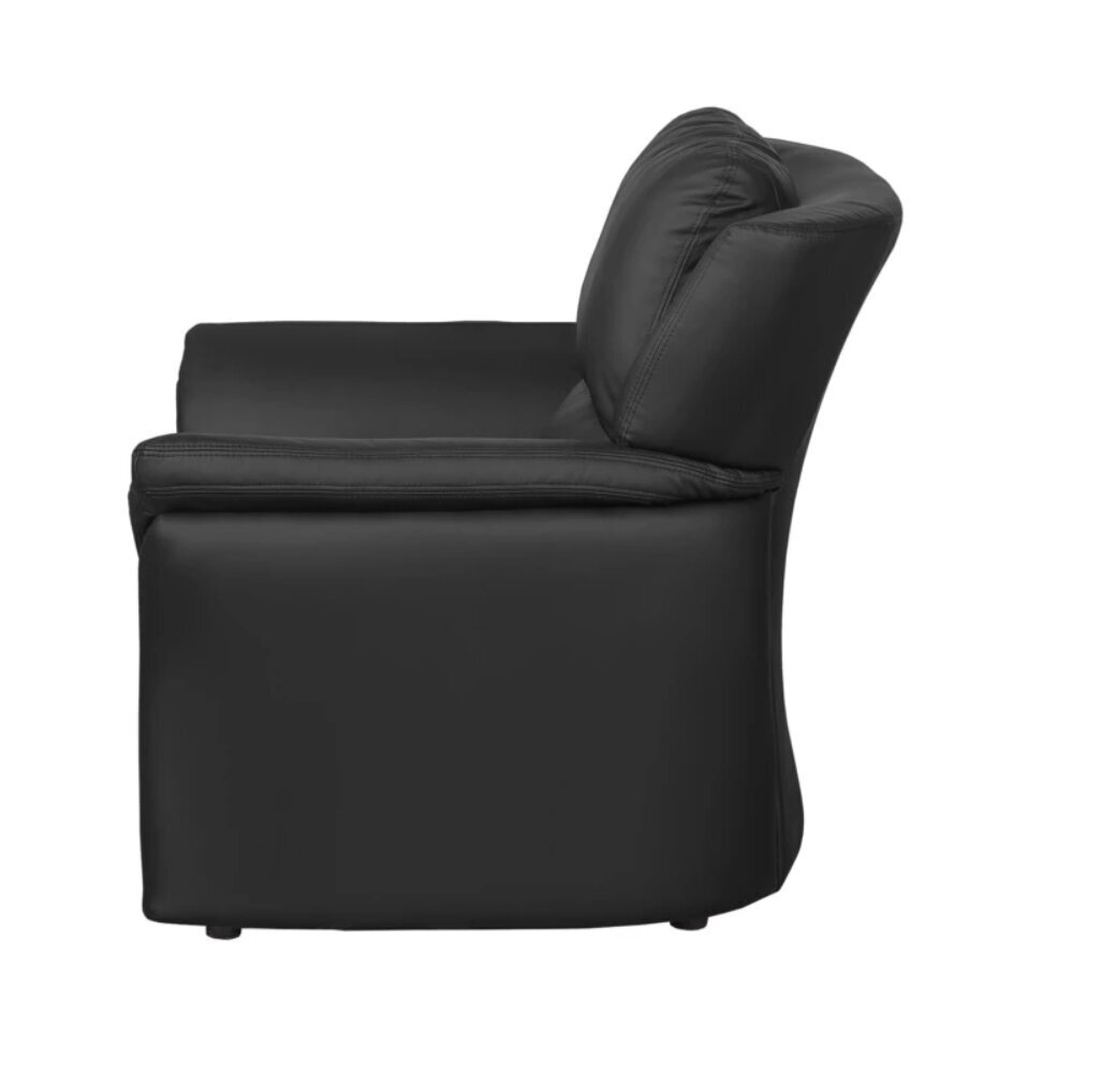 Fotelis Ropez Pisa, juodas kaina ir informacija | Svetainės foteliai | pigu.lt