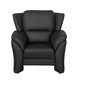Fotelis Ropez Pisa, juodas kaina ir informacija | Svetainės foteliai | pigu.lt